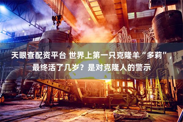 天眼查配资平台 世界上第一只克隆羊“多莉”，最终活了几岁？是对克隆人的警示