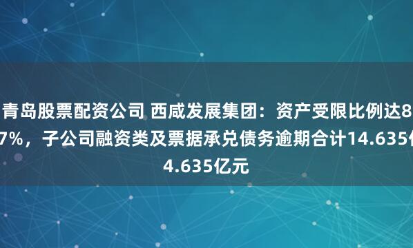 青岛股票配资公司 西咸发展集团：资产受限比例达88.87%，子公司融资类及票据承兑债务逾期合计14.635亿元
