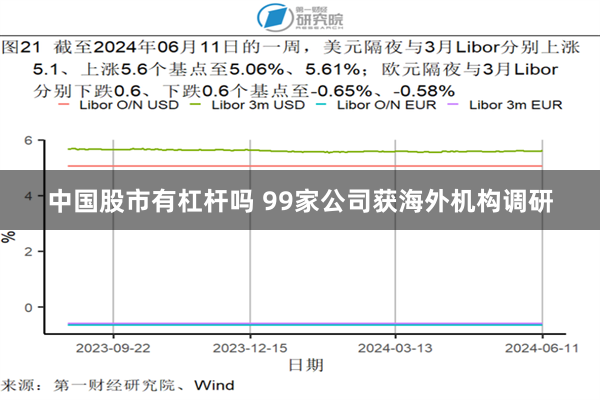 中国股市有杠杆吗 99家公司获海外机构调研