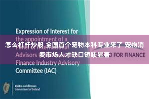 怎么杠杆炒股 全国首个宠物本科专业来了 宠物消费市场人才缺口短缺显著